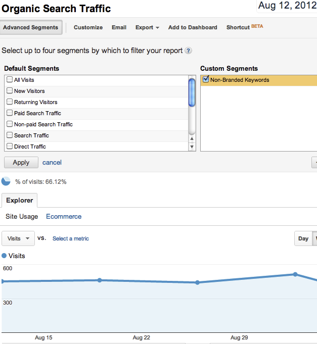 Google Analytics screenshot custom segments option