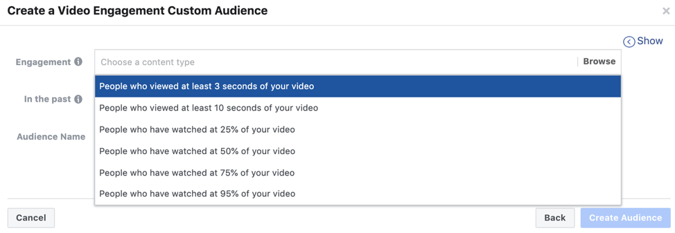 Facebook Video Engagement Custom Audience