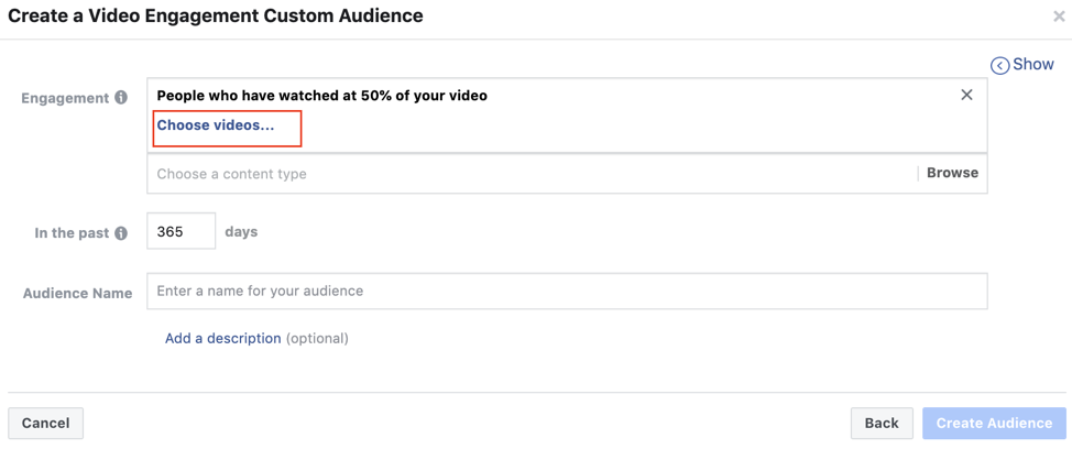 Facebook Video Engagement Custom Audience