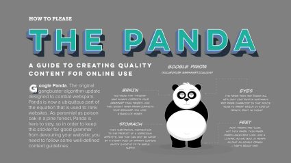 Infographic with title The Panda