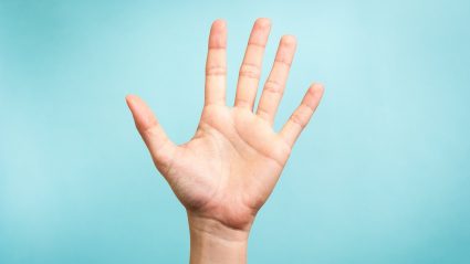 Hand raised showing 5 things to know about SEO
