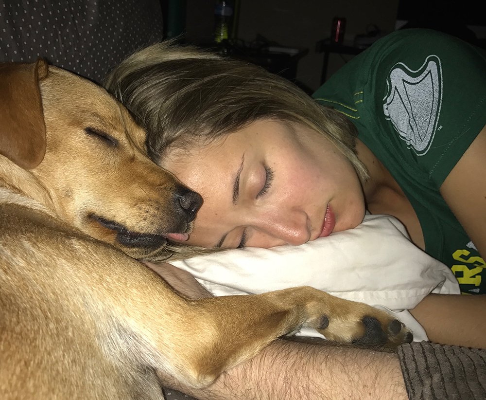 Dog sleeping with owner