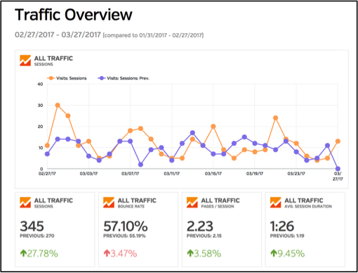 Google Analytics Traffic Overview screen