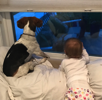 bixby and baby matilda looking out window