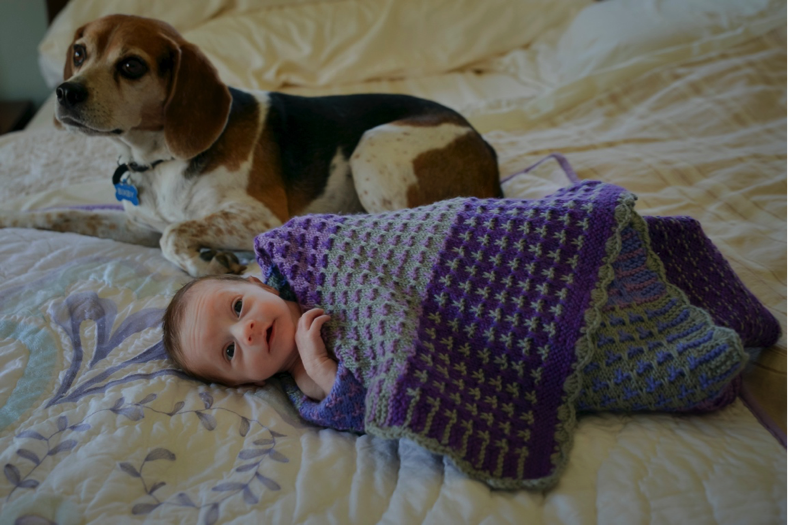 bixby with newborn matilda