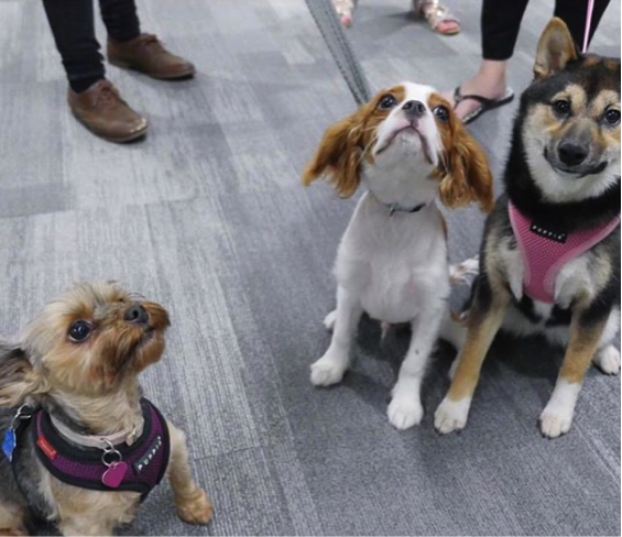 charlie mothner with friends zoey and winnie