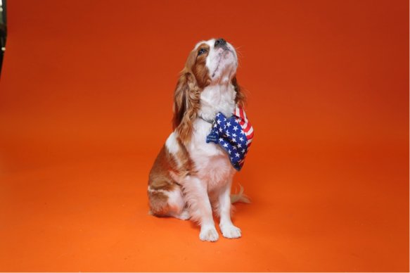 charlie mothner looking proud in photo shoot