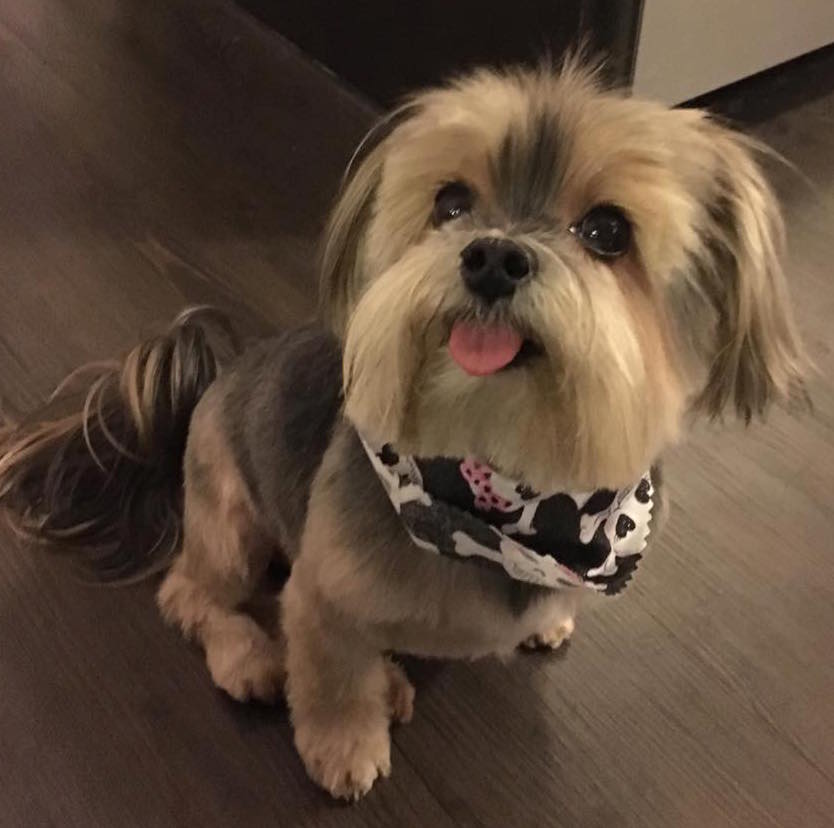 Chloie in a bandana