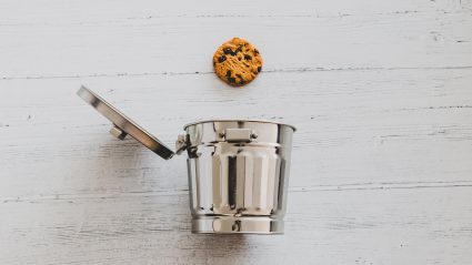 chocolate chip cookie and open trash can