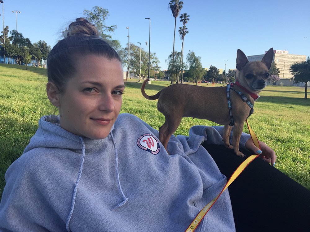 Chihuahua sitting on owners leg