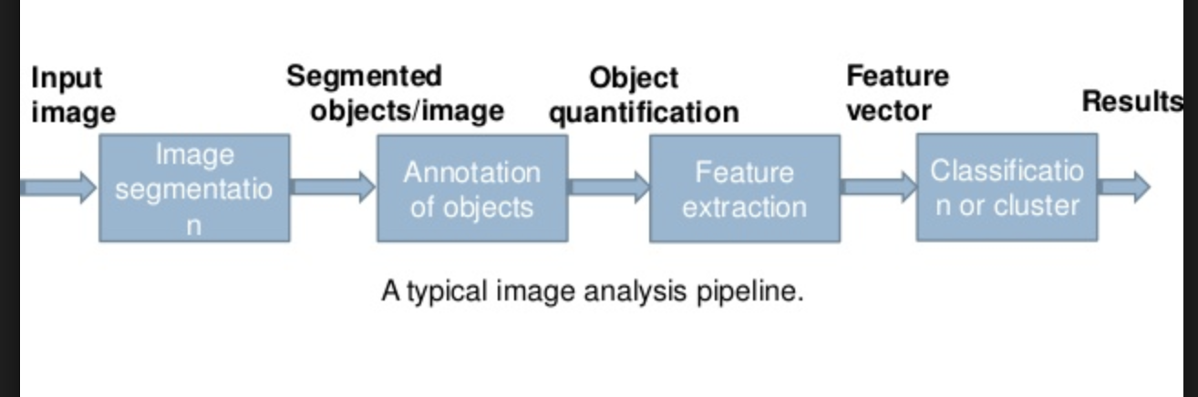 Vision Processing