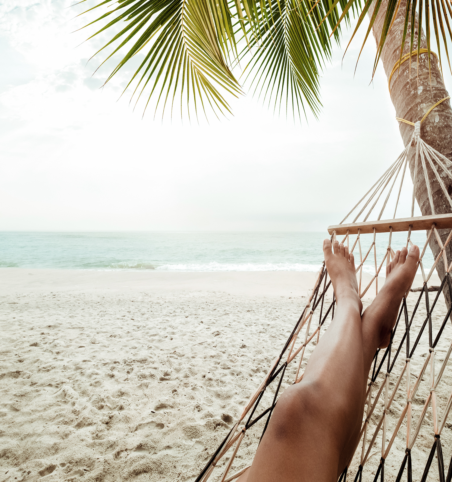 Hammock swinging from palm tree