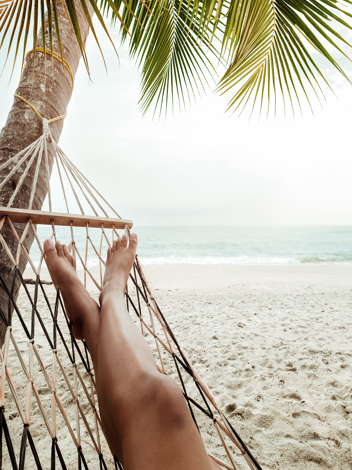Hammock swinging from palm tree
