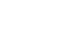 Prime-Visibility logo