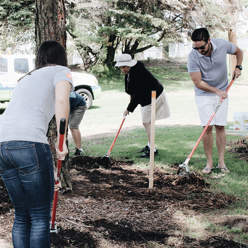 Team Members planting trees