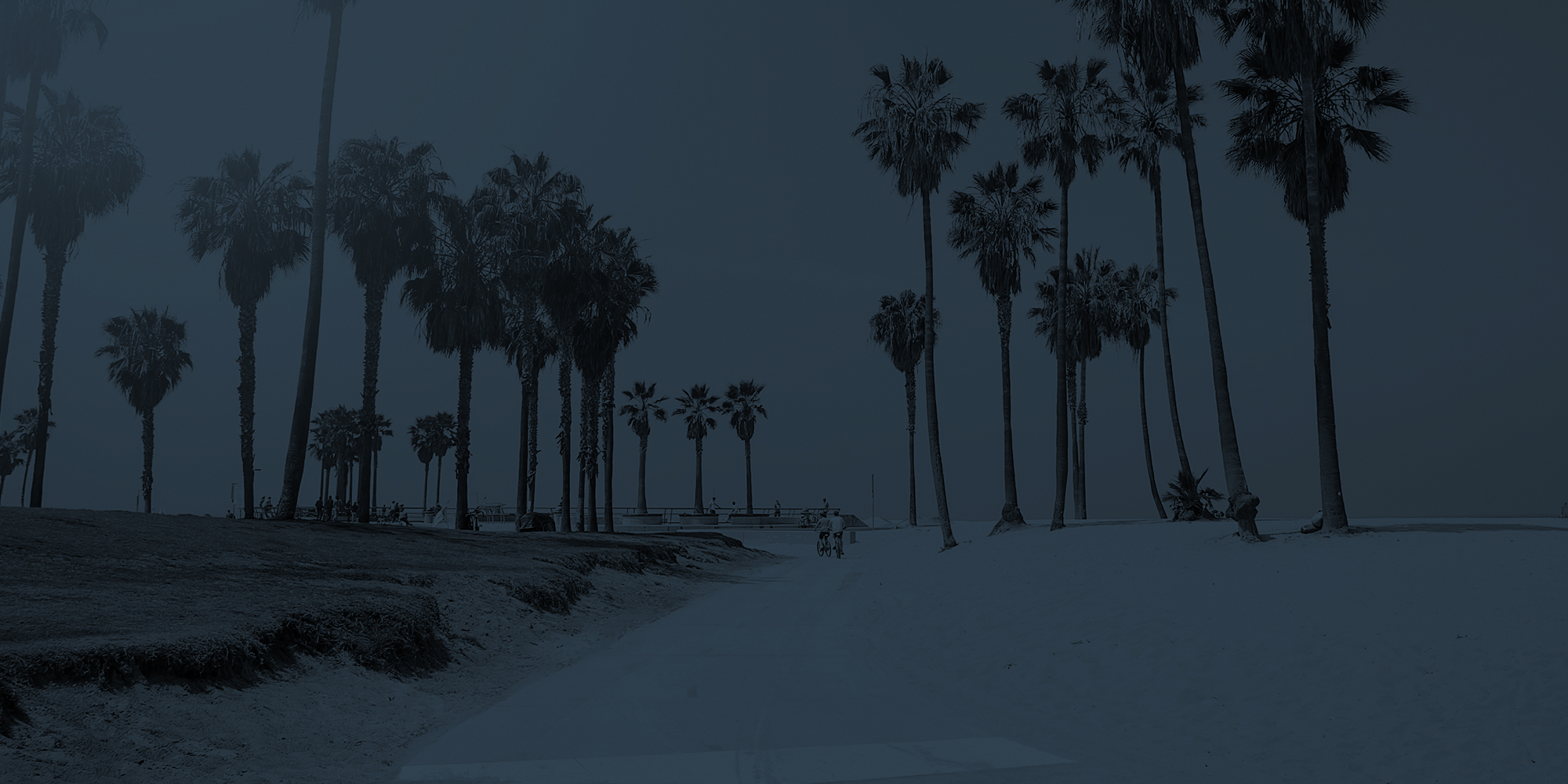venice beach sidewalk with palm trees