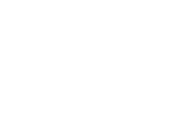 woodspring logo white