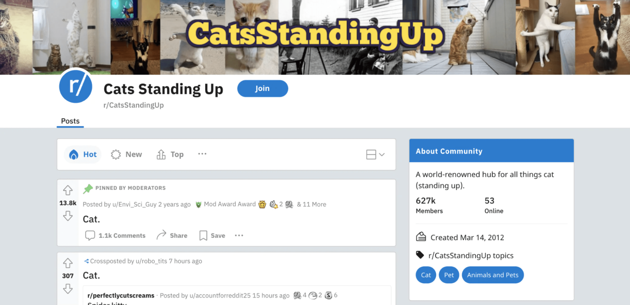 Example of a subreddit called Cats Standing Up on Reddit