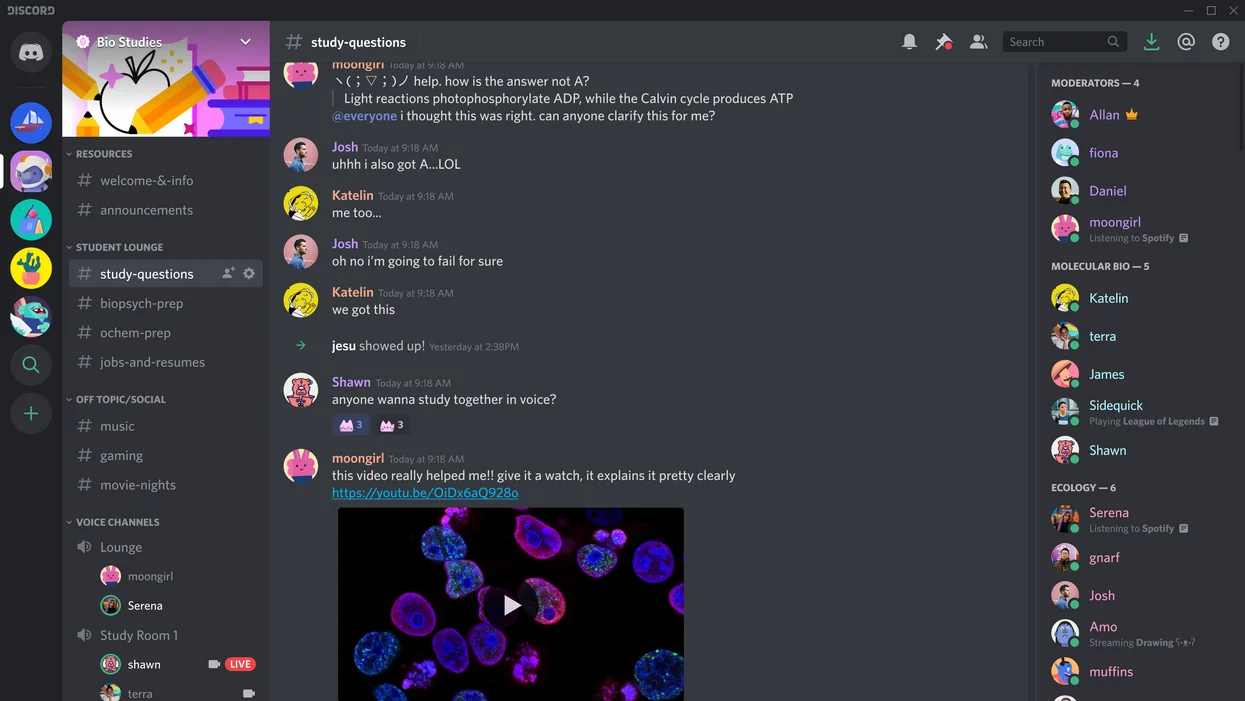 Example of Discord Server