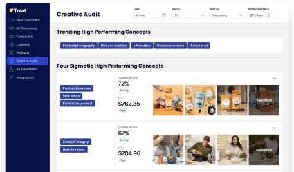 A screenshot from the Treat Beta website showing its "creative audit" AI feature