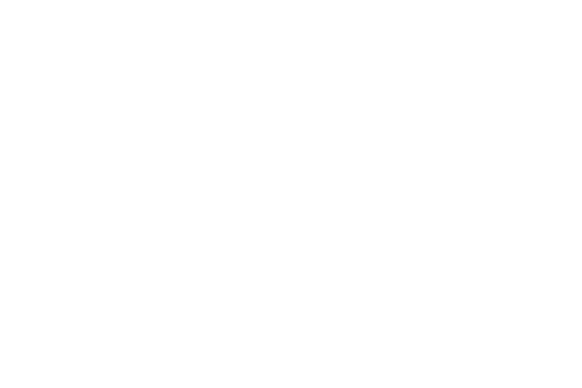 aritzia