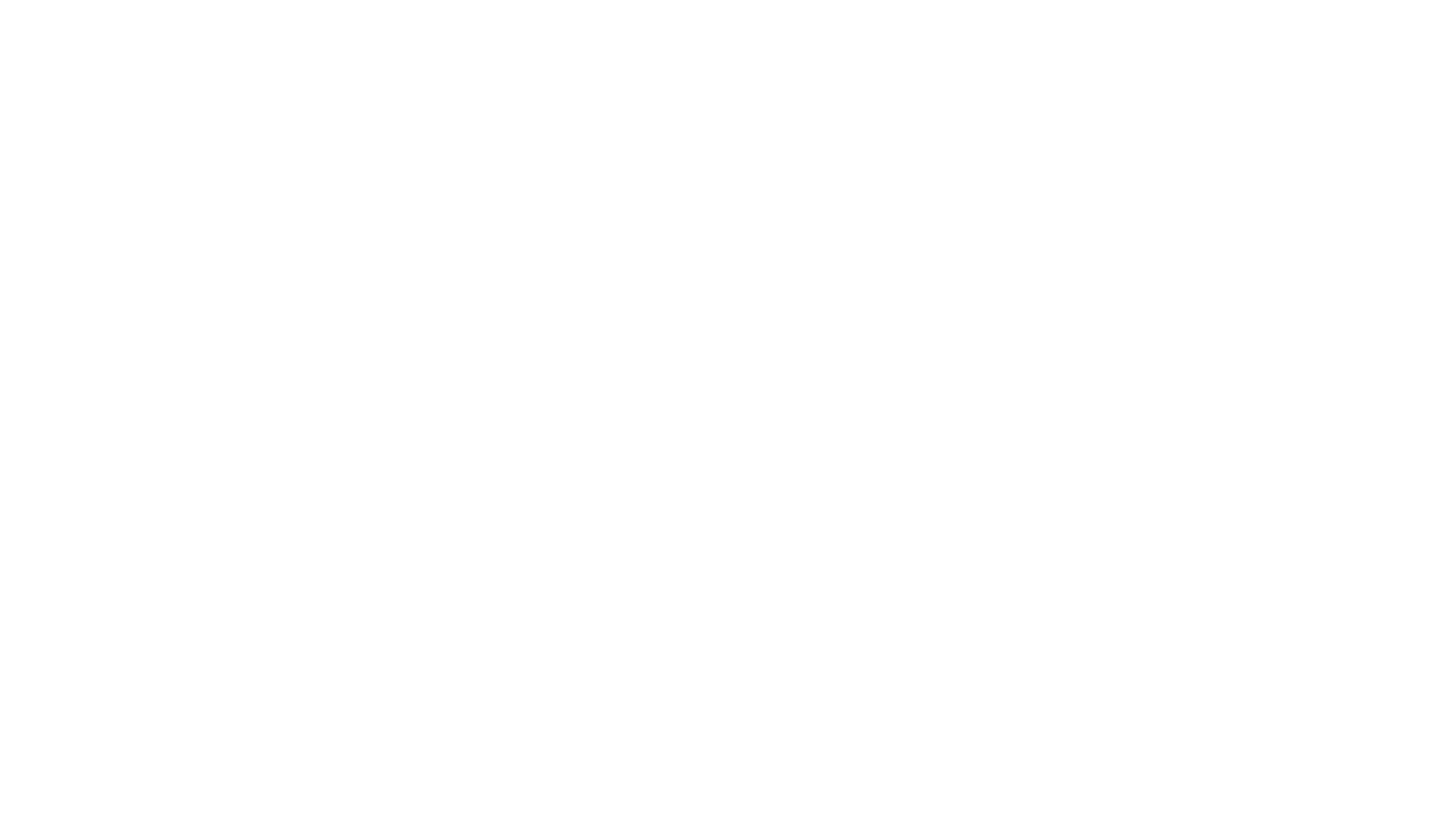 travel pro