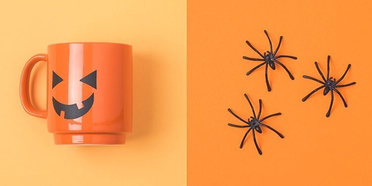 Four Halloween-themed items: a white house with black bats, an orange mug with a jack-o'-lantern face, plastic black spiders, and a pumpkin with paper glasses and mustache.