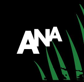 White "ANA" text in bold letters on a black background with green, pointed leaf-like shapes on the lower right side.