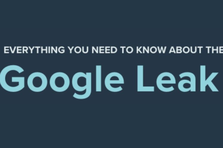 Text on a dark blue background reads: "Everything you need to know about the Google Leak.