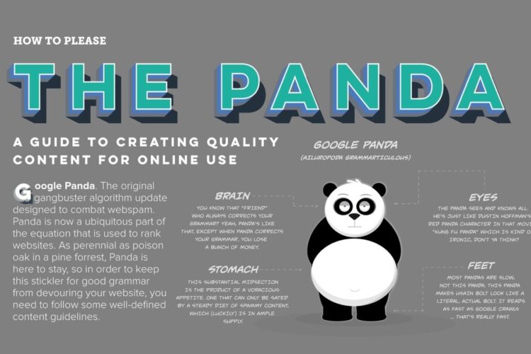 An infographic titled “The Panda” explains Google Panda’s role in web content quality, featuring a cartoon panda and labeled sections for brain, stomach, eyes, and feet.