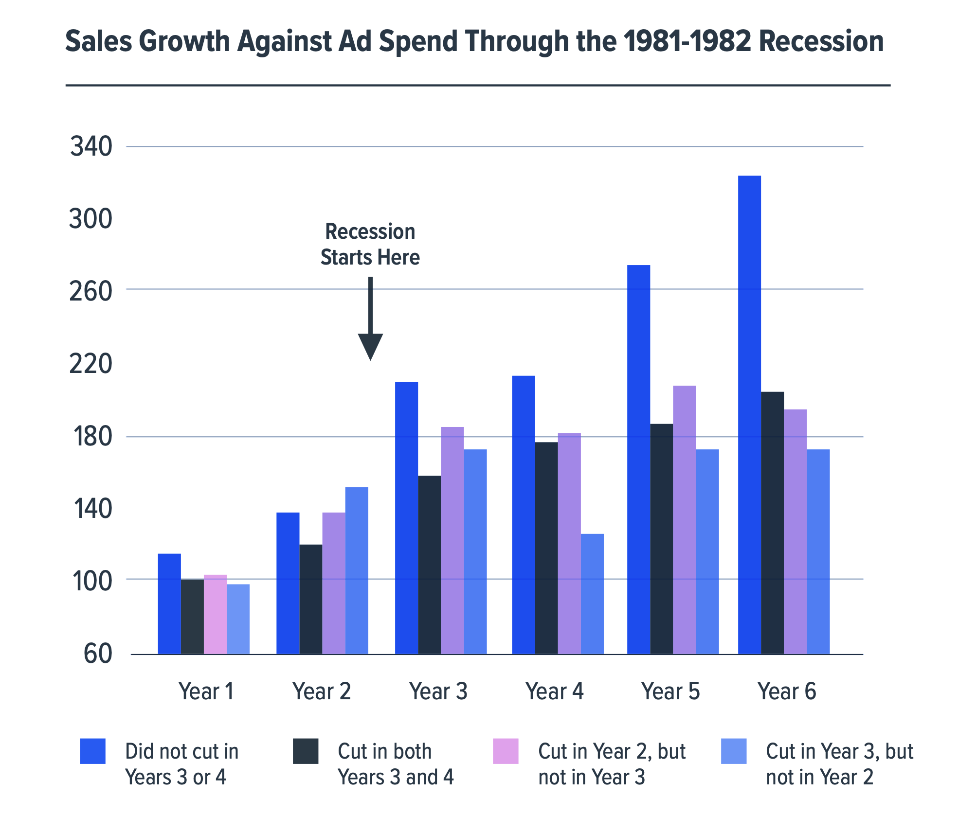 Sales Growth Against Ad Spend Through the 1981-1982 Recession