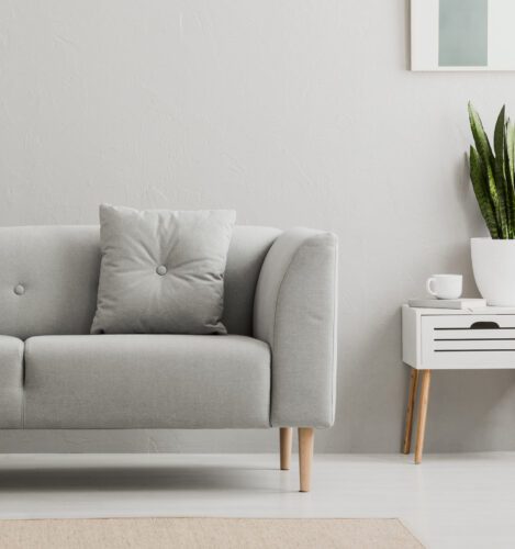 A modern living room with a light grey sofa, a matching cushion, a white side table with a drawer, a potted snake plant, and a framed picture on a light grey wall.