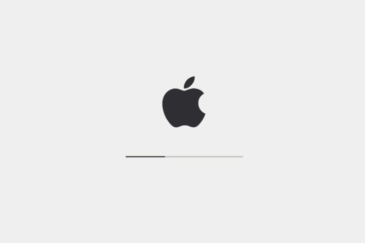 Apple logo centered above a horizontal progress bar on a light gray background, indicating a loading or boot screen.