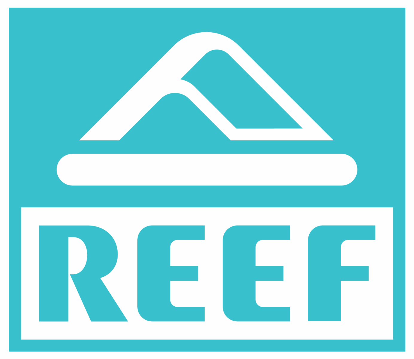 Reef Case Study | Wpromote