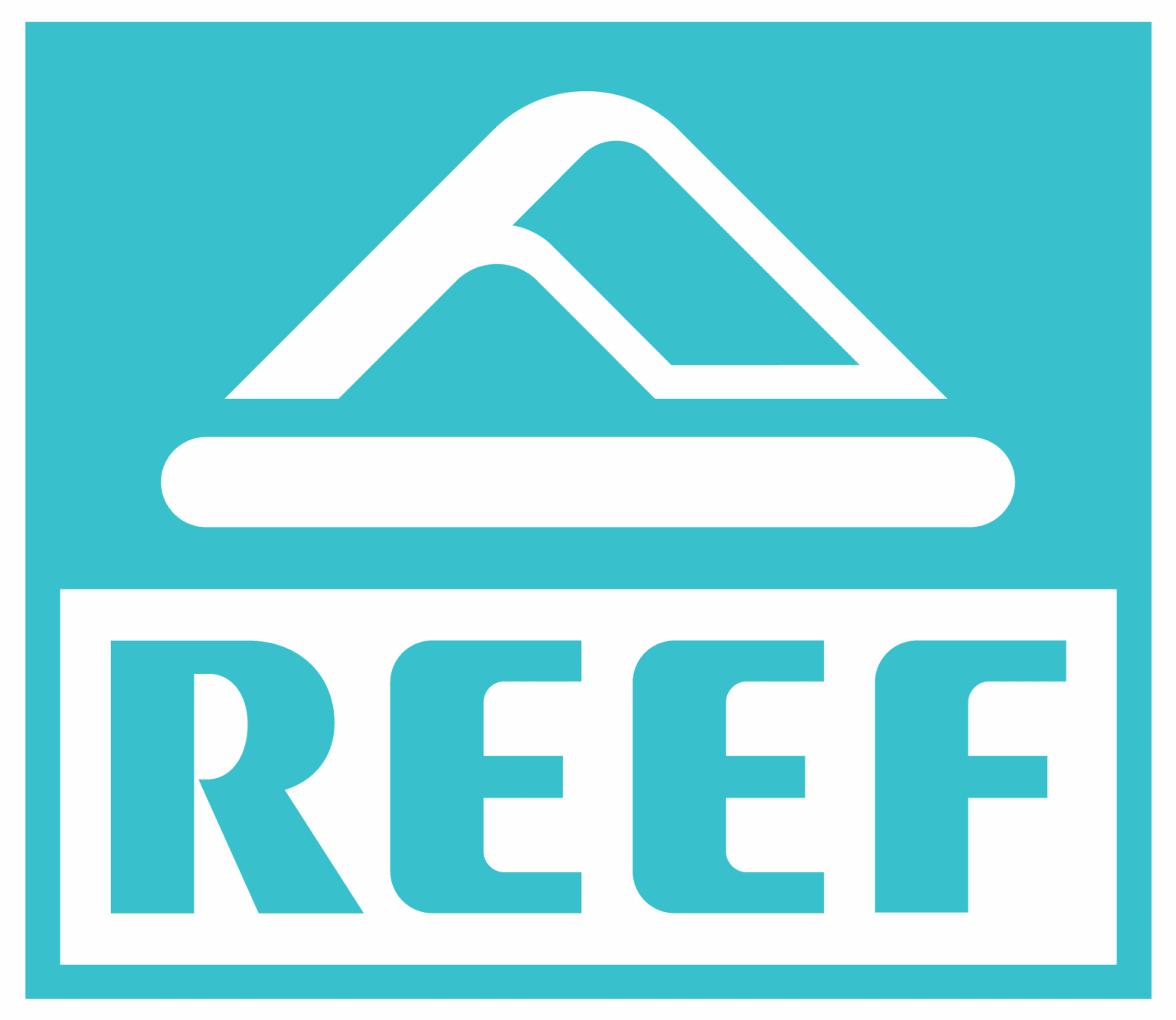 REEF | Paid Search Strategy Case Study | Wpromote