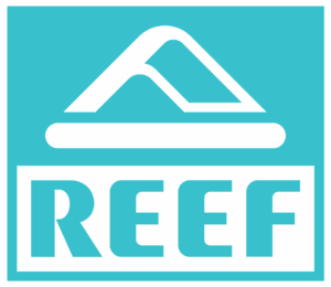 A blue and white logo featuring a stylized mountain above a horizontal bar with the word "REEF" in bold capital letters below.