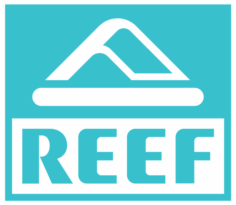 Reef Case Study | Wpromote