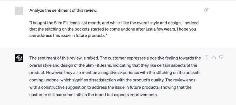 Example of ChatGPT querie