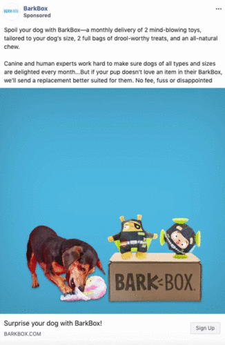 A dog sniffs toys and treats next to a BarkBox package, with two plush toys and a chew stick displayed on top of the box.