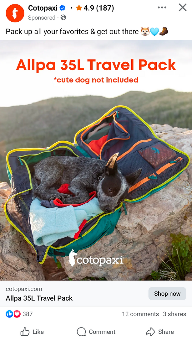 An open Cotopaxi Allpa 35L Travel Pack sits on rocky terrain with a black and gray rabbit inside; a note reads "cute dog not included.