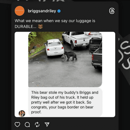 A bear stands next to a white car in a parking lot, pulling a suitcase from the ground while several vehicles are parked nearby.