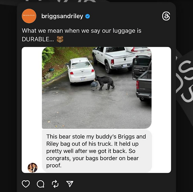 A bear stands next to a white car in a parking lot, pulling a suitcase from the ground while several vehicles are parked nearby.