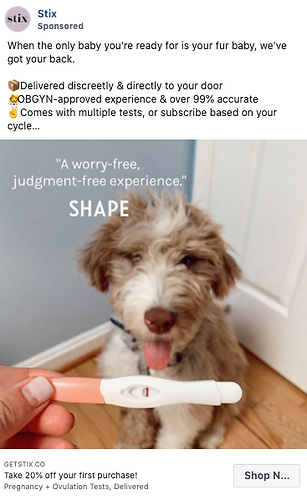 A person holds a pregnancy test in front of a fluffy brown and white dog sitting on a carpet, with promotional text about pregnancy and ovulation tests overlaid.
