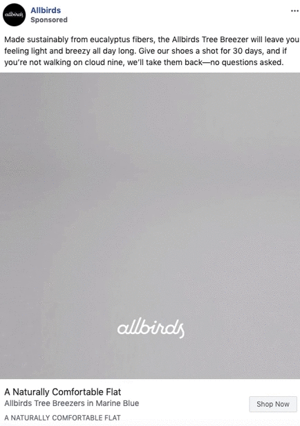 Gray minimalist ad with "allbirds" logo centered, promoting Allbirds Tree Breezer shoes; includes text about comfort, sustainable materials, and a 30-day return policy.