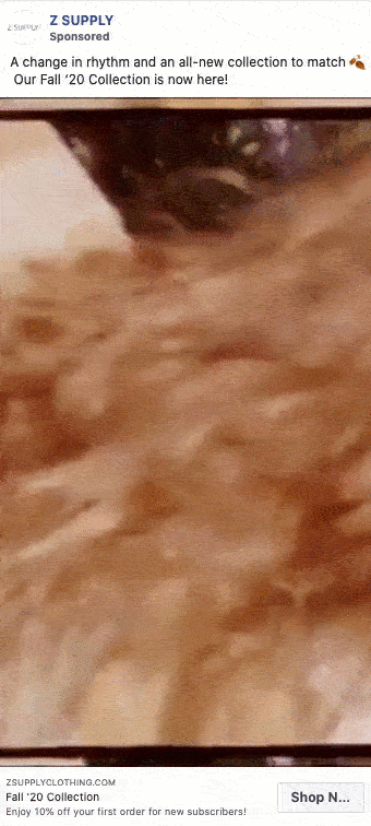 A person models various neutral-toned, cozy outfits from Z Supply’s Fall 2020 Collection, including sweaters and loungewear, in an indoor setting.