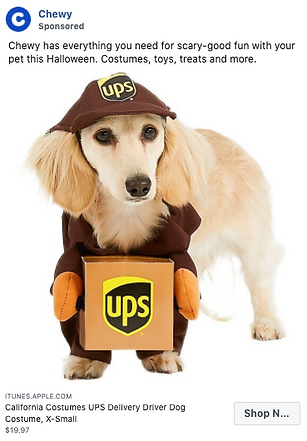 A small dog dressed in a brown UPS delivery driver costume, holding a box with the UPS logo on it.