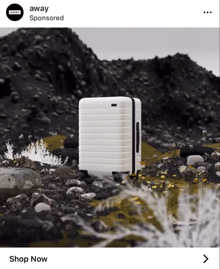 A white hard-shell suitcase stands upright on a rocky, barren landscape with sparse yellow and white vegetation.