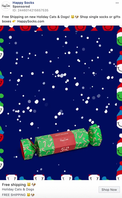 A festive green and red sock box lies on a blue background with animated falling snow, surrounded by cartoon cat and dog faces wearing holiday hats.