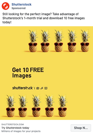 Pineapples wearing sunglasses arranged in three rows on a yellow background, with text promoting 10 free images from Shutterstock.