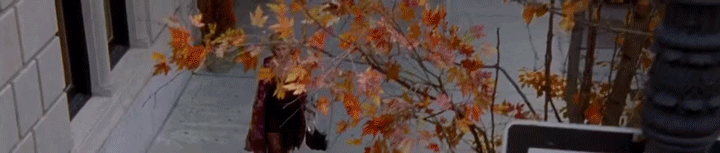 A person throws leaves into the air on a city sidewalk lined with autumn trees.
